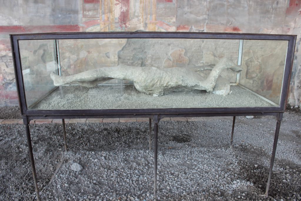 body of pompeii in a glass box