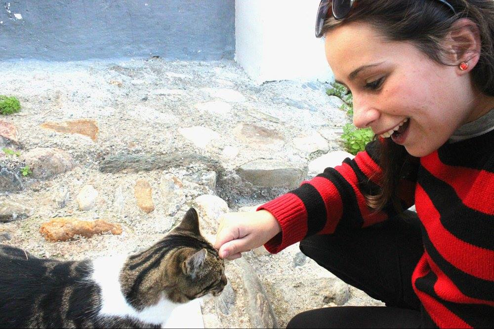 solo female traveler in Granada finds a cat on the street