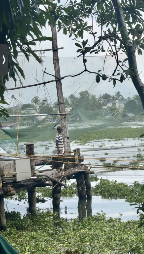 Chinese fishing nets in kochi 