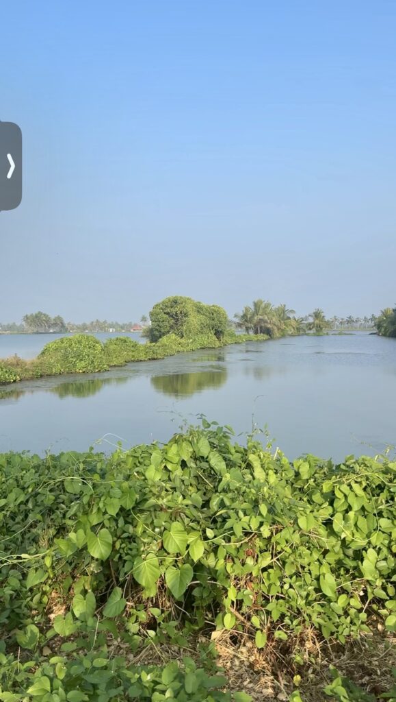 Kerala backwaters